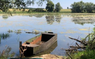Lire la suite de 'Les fantômes des pesticides hantent nos environnements pour longtemps'