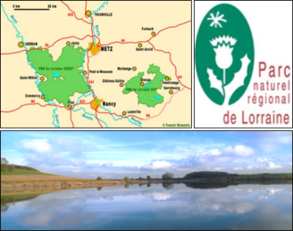 Lire la suite de 'Damien Banas intègre le Conseil Scientifique du Parc Naturel Régional de Lorraine'