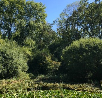 Lire la suite de 'Pesticides et risque écotoxique dans les petits plans d’eau : bilan d’une mobilité scientifique entre la Lorraine et le canton de Genève'